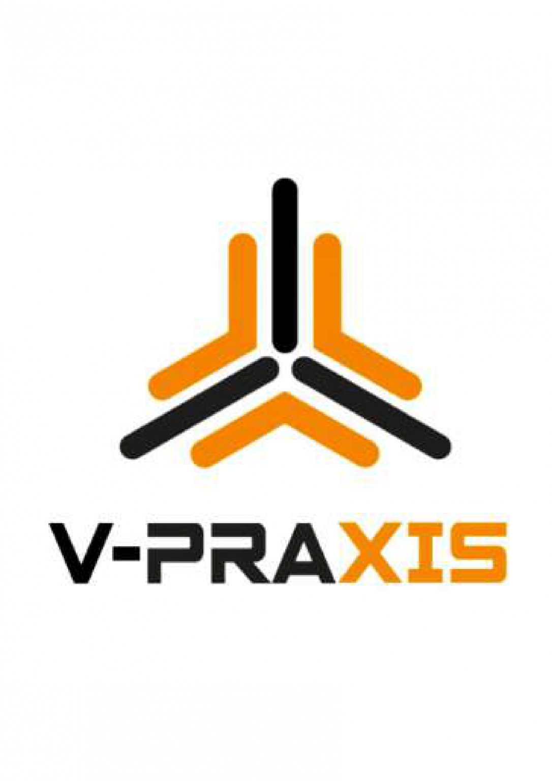 V-Praxis